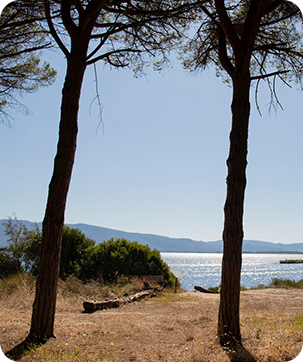 Parco Regionale della Maremma