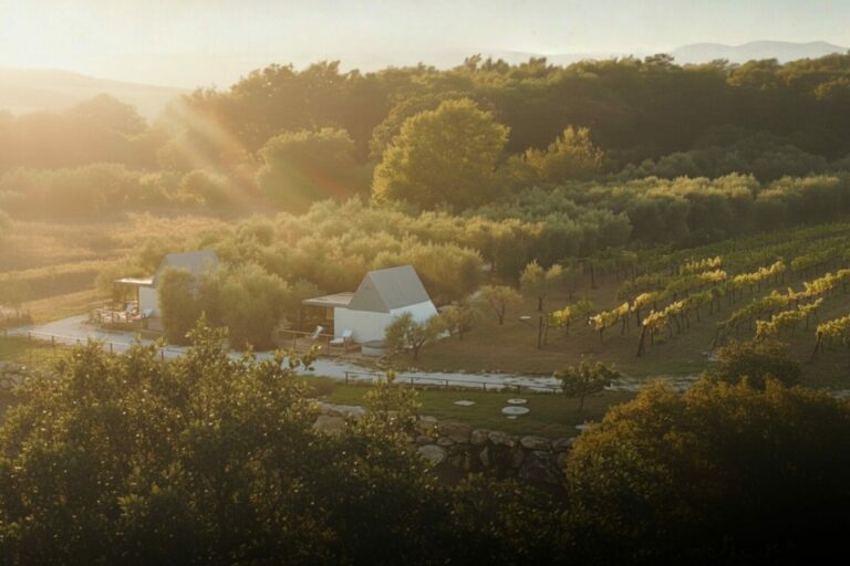Le colline di Saturnia nella luce del tardo pomeriggio, con le Eco-Suite di Seme di Carota tra gli alberi