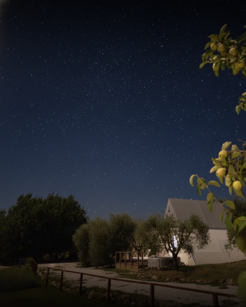 Night sky over the olive trees and an Eco-Suite at Seme di Carota, near Saturnia